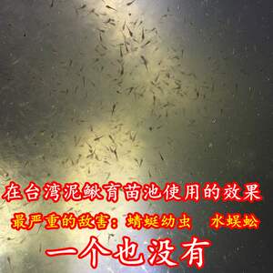 幼虫水蜈蚣蜻蜓鱼苗敌害一扫光大幅度提高水花和寸苗成活杀龙虱
