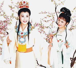 钱惠丽 单仰萍 新版 越剧 红楼梦2dvd