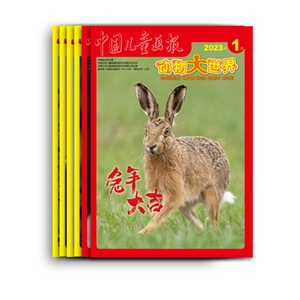 中国儿童画报动物大世界2023年1-6月半年过刊杂志