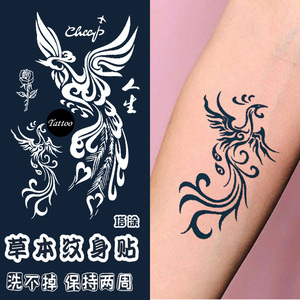 塔涂 凤凰圣鸟 草本果汁贴纹身半永久锁骨手臂防水持久女贴纸性感