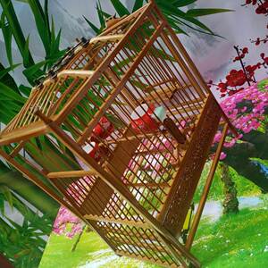 黄豆鸟鸟笼套箱