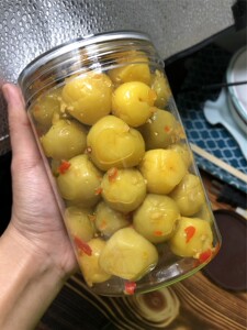 广西南宁横县酸嘢特产农家自制腌泡酸辣李果紫苏蒜蓉李子包邮酸辣