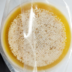 泉来净水器滤芯jgc-1000ajc-1290c/jc-2100a/3080c前置超滤膜