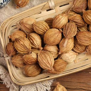 香砂仁 四川砂仁 金砂仁 沙仁卤菜香料 正宗贵州砂仁干货