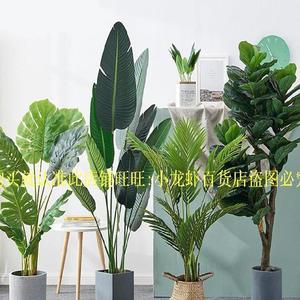 假花仿真花摆设大号饭店发财树办公室门口假盆景尺寸大植物服装店