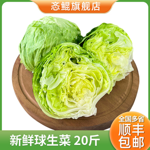 球生菜20斤新鲜西生菜圆生菜汉堡蔬菜西餐沙拉轻食材绿叶圆球生菜