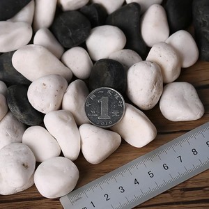 花盆里的小装饰摆件养种兰花专用透气石铺面的石子石头粒透气