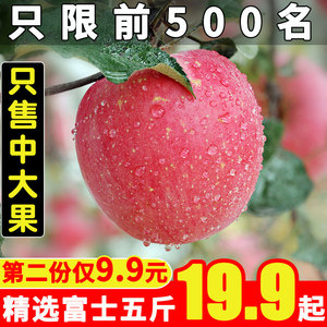 陕西延安高山农家新鲜水果带箱苹果脆甜多汁红富士5/10斤批发包邮