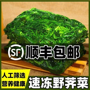 顺丰荠菜野菜新鲜包邮野生整棵冷冻荠荠菜饺子馄饨速冻荠菜陷商用