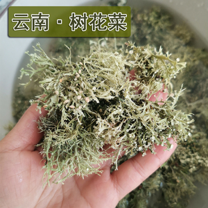 临沧树花菜云南特产野生树胡子菌类干货山珍山货特色凉拌野菜200g