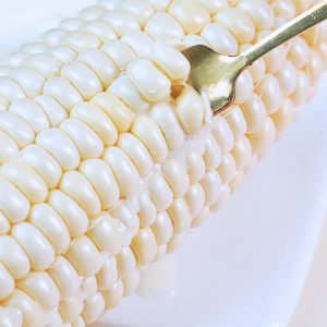 漳州爆浆牛奶玉米即食水果冰糖玉米当季新鲜可生吃棒子甜白玉代餐