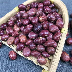 云南金丝豆500g 雀蛋豆饭豆红花芸豆五谷杂粮