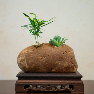 e系石盆真石头花盆天然鹅卵石花瓶造型水培植物禅意创意盆景造景