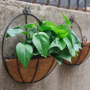 椰丝半圆形花盆植物盆栽花垂吊透气棕垫铁艺花盆悬挂式铁链吊篮