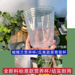 蝴蝶兰专用营养杯种植杯兰花栽培花盆石斛兰育苗透明塑料盆营养钵