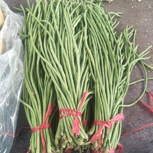 4斤新鲜蔬菜农家自种长豇豆蛇豆姜豆现发时令 长豆角四季豆包邮