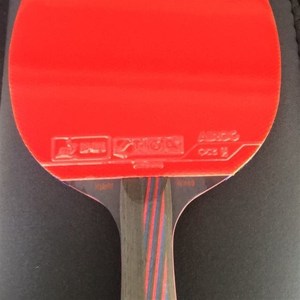 乒乓球拍tiga
