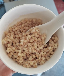 甘肃特产小吃小麦甜胚子麦仁酒甜醅即食醪糟130