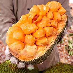 越南树上熟红肉菠萝蜜红心新鲜进口品种品种木菠萝榴莲蜜越南水果