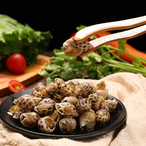 醉花螺280g即食罐装海鲜东风螺生呛鲜活腌制海螺香螺宁波舟山特产