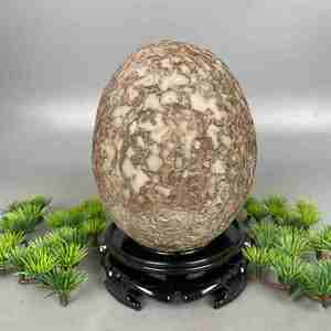 恐龙石石树皮蛋石头天然结核纹蛋蛋石原石石奇石他山收藏摆件观赏