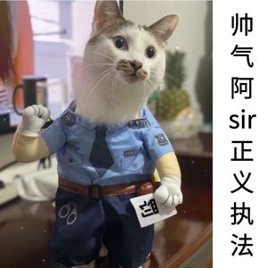 狗狗搞笑搞怪衣服猫咪可爱宠物幼猫小型犬泰迪博美抖音网红变身装