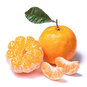 宜昌椪柑芦柑橘子