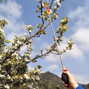 连续瓜果柿子手枪式受粉粉笔甜瓜注射器点花神器授粉器人工0人付款