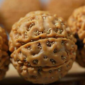 新籽原籽黄皮金刚菩提手串男士大金刚佛珠核桃文玩手链六七八瓣