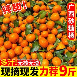 现摘广西砂糖橘新鲜水果沙糖桔10斤小橘子甜桔子当季蜜橘整箱包邮