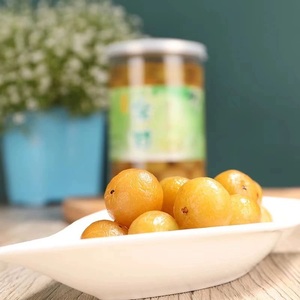 闽南特产农家咸甜油甘冰糖油甘余柑油柑油甘果余甘果700g包邮网红