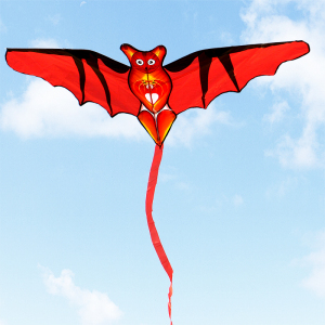 风筝蝙蝠侠