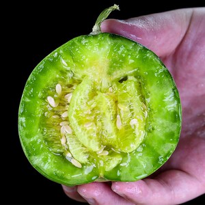 绿宝甜瓜小香瓜绿皮瓜新鲜水果当季整箱绿宝石脆瓜5斤应季包邮