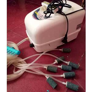 12v增氧机直流电瓶o冲氧机气泵养鱼虾打氧机12伏货车车载活鱼氧泵