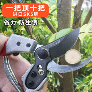 日本进口SK5园林剪刀修枝剪园林花艺修剪树枝专用剪果树家用剪子