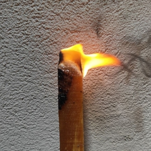 引火柴火引火条引燃条松明松光琥珀木生火燃料油柴松明子木碳柴火