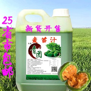 青苗汁艾草汁麦苗汁大麦青汁青团专用清明果原料5斤装新鲜麦叶榨