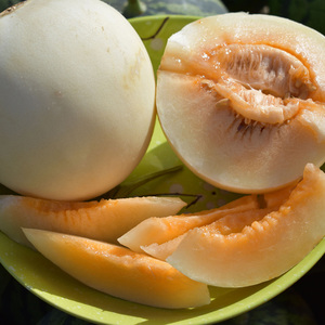 内蒙甜红玉哈密瓜瓜果整箱网纹瓜香甜蜜瓜2颗8斤