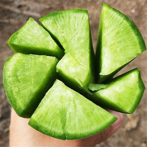 水果萝卜甜脆水果型正宗丹东水果萝卜生吃青皮绿萝