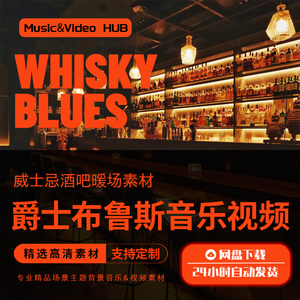 威士忌酒吧清吧餐厅蓝调爵士布鲁斯放松慢节奏歌曲暖场视频MV素材