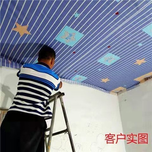 吊顶塑料布吊顶布大布瓦房e简易防尘布料装修盖布卧室内屋顶遮尘