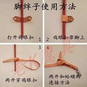 &鹰具脚绊子鹰脚套脚绊绳两开鸡眼扣喜鹊乌鸦鹦鹉脚链环鹰帽