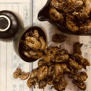 素问养生馆蝉蜕中药材虫衣虫退蝉知了皮禅衣金蝉壳知了猴壳爬蚱皮