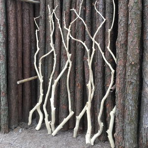 造型树枝去皮干枝枯去皮龙骨木树干艺术摆件o造型衣架吊顶龙骨衣