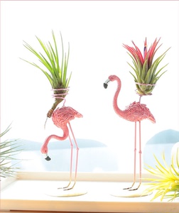 空气凤梨壁挂无土植物火烈鸟摆件创意套餐家居室内吸甲醛绿植盆栽