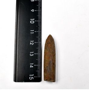 化石标本动物化石科普教学标本古生物箭石化石笔石鱼原石