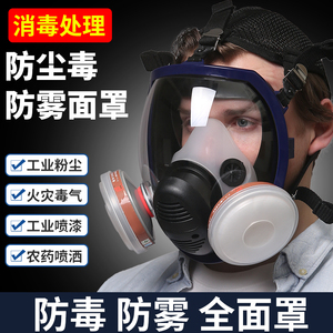 工业防尘防毒面具全面罩打药喷漆防甲醛放毒氧气过滤头戴式滤毒盒