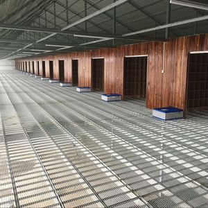 地网格栅信鸽格棚地网热镀锌长孔网铁鸽笼漏粪网片脚踏公丝网奢华