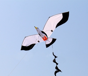 潍坊风筝新款3d立体海鸥动物超大巨型大人小孩风筝seagull kite