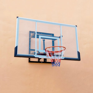 篮球框挂式室外篮球架室内电动升降成人儿童家用壁挂篮板标准篮筐